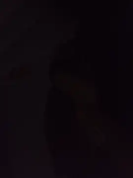 Snapshot of Sexxoophone chatting on July 2026 03:35:02 AM Sexxoophone online show from July 2026 03:35:02 AM