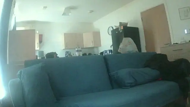 avamaxwell online show from May 2026 11:28:01 AM