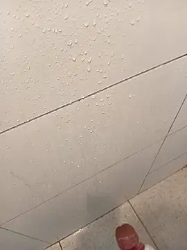 Snapshot of Luan_11839 chatting on December 2025 08:04:02 PM Luan 11839 online show from December 2025 08:04:02 PM