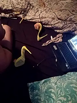 Crossedsissy online show from February 2026 11:23:01 PM