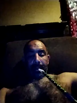 salimbasha online show from May 2026 02:53:01 AM