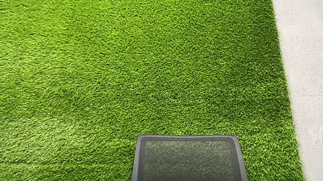 AshlyJoy online show from November 2025 07:19:01 AM