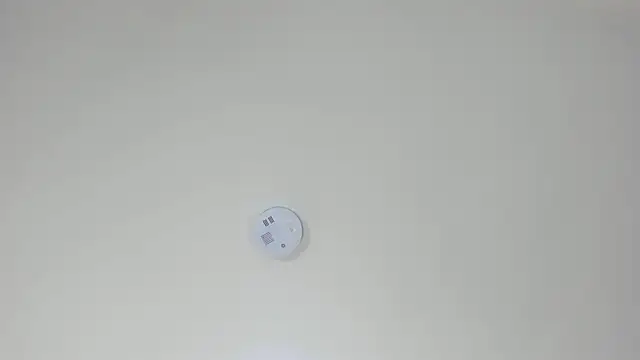 Snapshot of pamemiller1 chatting on October 2025 02:33:01 AM pamemiller1 online show from October 2025 02:33:01 AM