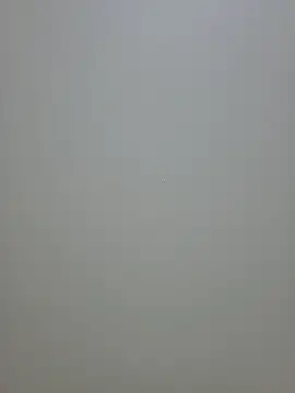 Snapshot of titooritax chatting on May 2026 08:39:02 PM titooritax online show from May 2026 08:39:02 PM