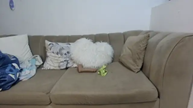 ChubbyBitch26 online show from May 2026 07:19:02 PM