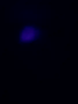 emrekzlk52 online show from May 2026 08:13:02 PM