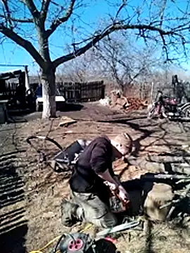 Alexilon online show from March 2026 11:15:02 AM