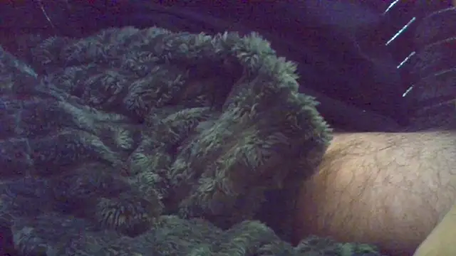 HairyHornyTwinkx online show from October 2025 08:04:01 AM