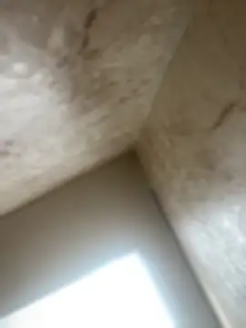 Noa Todokoro online show from October 2025 03:02:01 PM