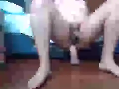 Culazodeantonellarocuzzo online show from September 2025 03:34:02 PM