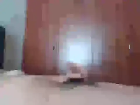 Culazodeantonellarocuzzo online show from February 2026 03:21:02 PM