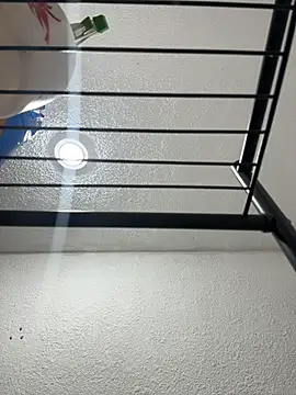 Nia Desire online show from December 2025 05:24:02 AM