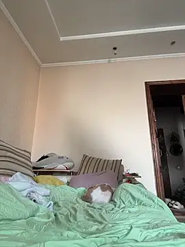 DollyTall online show from March 2026 06:50:01 AM