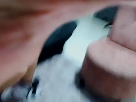 Snapshot of kata-gomez chatting on February 2026 03:40:02 AM kata-gomez online show from February 2026 03:40:02 AM