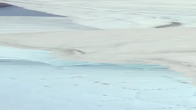 crystal sm online show from September 2025 03:08:02 AM