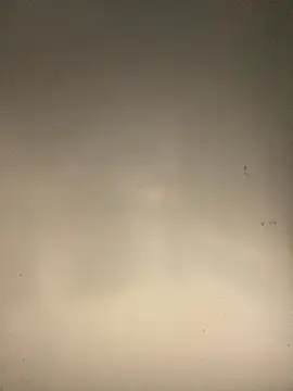 Snapshot of sasatimido chatting on October 2025 03:13:01 PM sasatimido online show from October 2025 03:13:01 PM