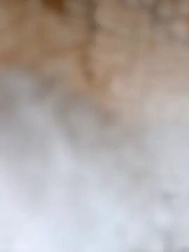 Snapshot of Radsj@xh chatting on December 2025 07:42:02 PM Radsjxh online show from December 2025 07:42:02 PM