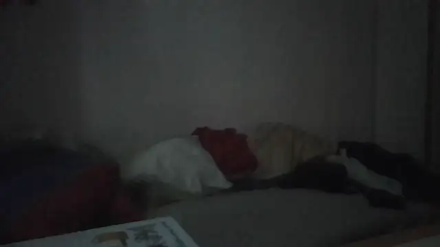 Snapshot of ARTANIS20 chatting on January 2026 07:35:01 AM ARTANIS20 online show from January 2026 07:35:01 AM