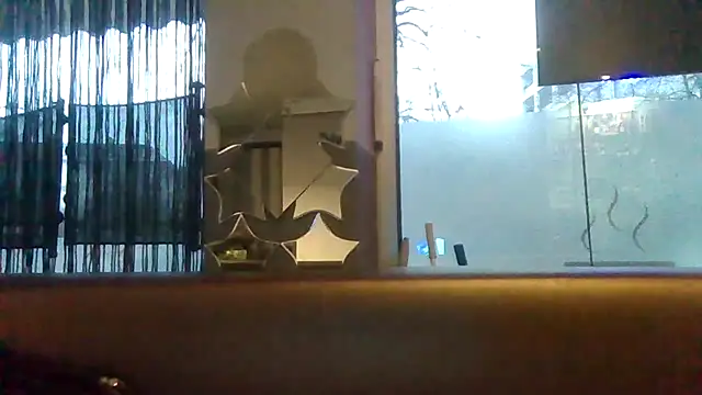 Snapshot of ARTANIS20 chatting on February 2026 06:56:02 AM ARTANIS20 online show from February 2026 06:56:02 AM