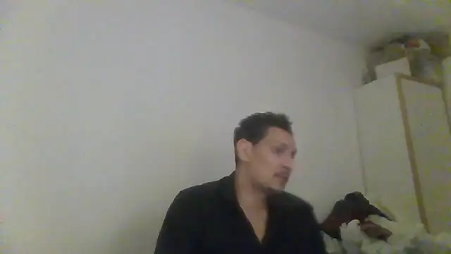 ARTANIS20 online show from May 2026 12:19:01 AM
