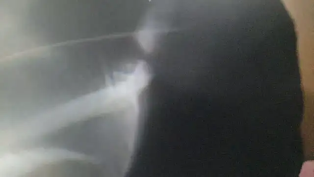 zzangzoa online show from April 2026 02:07:01 PM