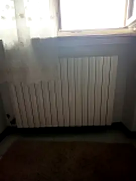 alicepavia22 online show from April 2026 09:14:02 AM