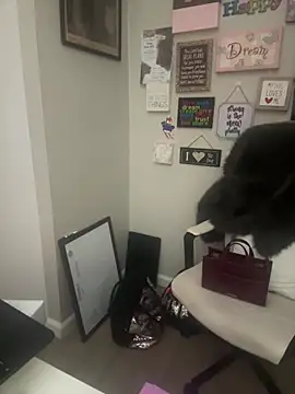 Juicystorm online show from February 2026 01:10:02 AM