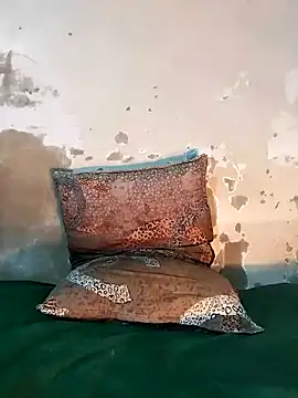 Snapshot of ParousFlow chatting on December 2025 08:26:01 PM ParousFlow online show from December 2025 08:26:01 PM