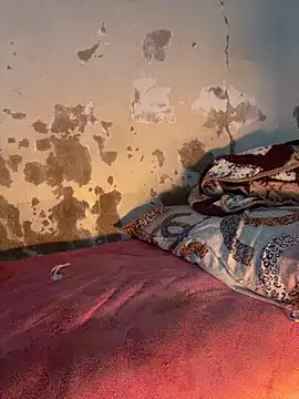 Snapshot of ParousFlow chatting on March 2026 01:23:01 AM ParousFlow online show from March 2026 01:23:01 AM