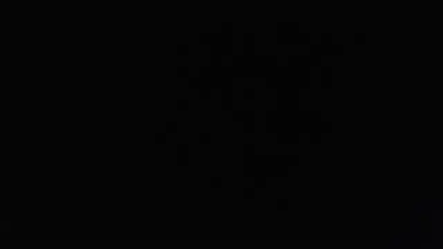 sacoa online show from November 2025 02:50:02 PM