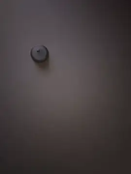 curis4270panda online show from February 2026 07:59:02 AM