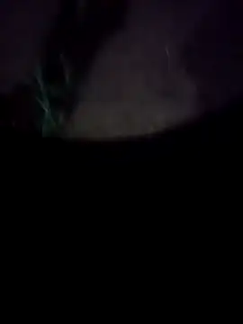 mkallu1995 online show from February 2026 05:20:01 PM