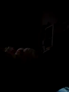 EssenerHandwerker online show from November 2025 05:08:01 PM