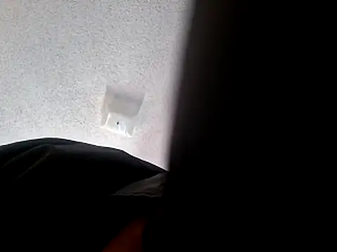 wodash9921 online show from October 2025 04:07:02 PM