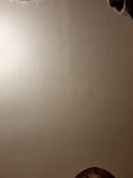 gazb90 online show from November 2025 11:24:01 PM