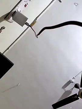 papukurty online show from October 2025 03:14:02 AM