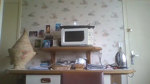 gegevincent online show from May 2026 11:37:01 AM