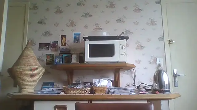 gegevincent online show from May 2026 11:27:01 AM