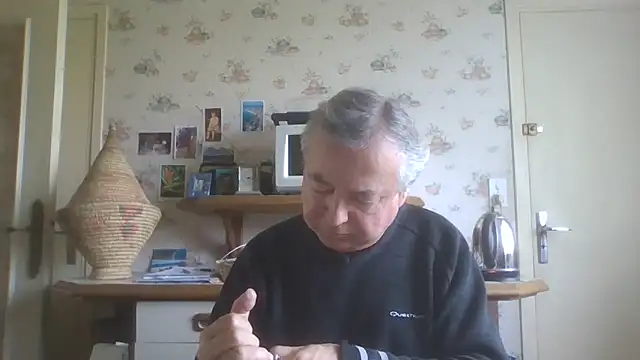 gegevincent online show from May 2026 11:15:02 AM
