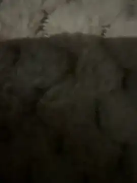 Snapshot of anonimgirl18old chatting on February 2026 06:45:01 PM anonimgirl18old online show from February 2026 06:45:01 PM