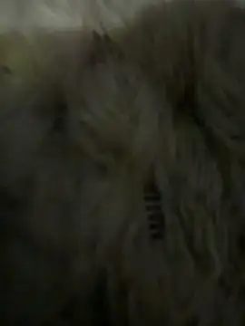 Snapshot of anonimgirl18old chatting on March 2026 05:09:02 PM anonimgirl18old online show from March 2026 05:09:02 PM