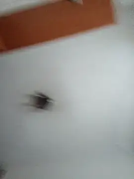 Snapshot of Hottiesophie chatting on March 2026 04:13:01 PM Hottiesophie online show from March 2026 04:13:01 PM