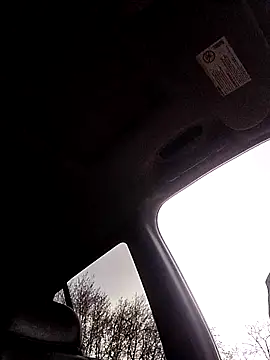 Snapshot of 1234locos chatting on March 2026 12:38:02 PM 1234locos online show from March 2026 12:38:02 PM