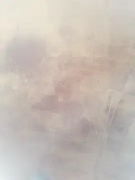 Snapshot of 0023doja chatting on October 2025 11:26:02 PM 0023doja online show from October 2025 11:26:02 PM