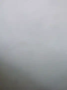 Saikishore00000 online show from February 2026 11:59:01 AM