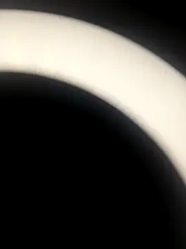 Snapshot of sapna_2121 chatting on November 2025 07:08:01 AM sapna 2121 online show from November 2025 07:08:01 AM