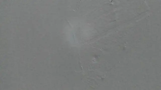 Sophia Ebony online show from February 2026 01:14:02 PM