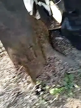 Odecca11 online show from March 2026 01:49:02 PM