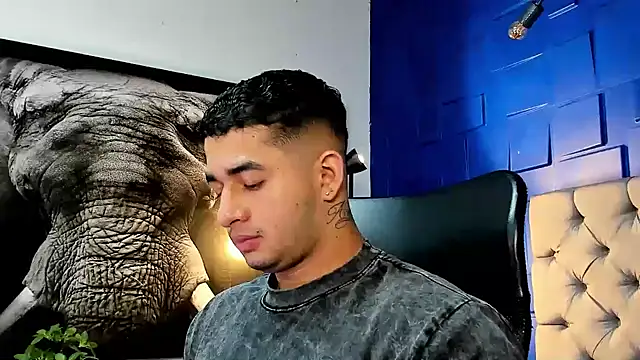 king falconer online show from November 2025 01:27:01 AM