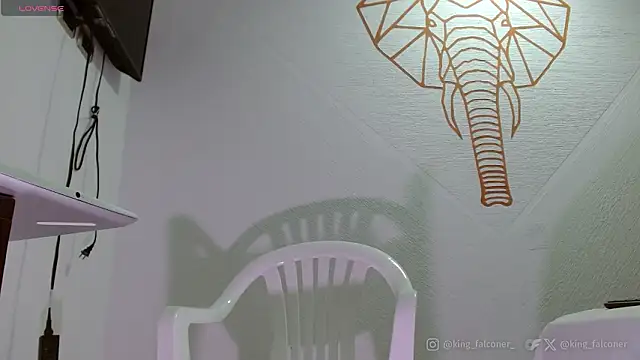 king falconer online show from February 2026 05:03:02 PM